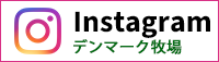 インスタグラム