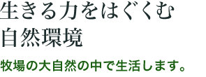 生きる力をはぐくむ自然環境牧場の大自然の中で生活します。